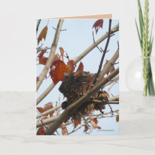 Nest Revealed Card