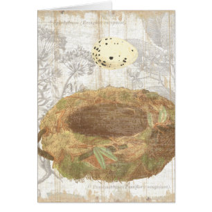 Nest with Speckled Egg