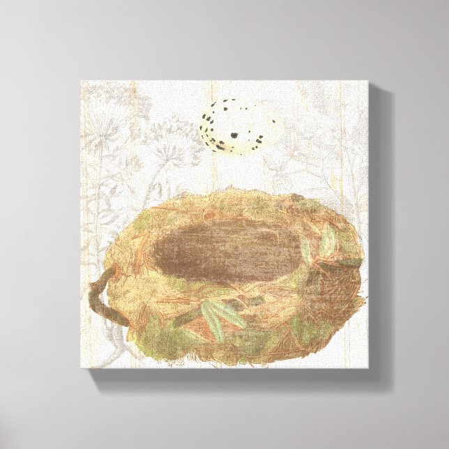 Nest with Speckled Egg Canvas Print (Front)