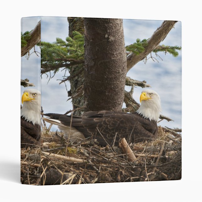 Nesting Bald Eagle Binder (Front/Spine)