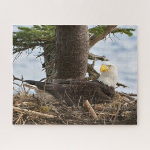 Nesting Bald Eagle Jigsaw Puzzle