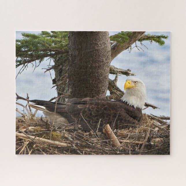 Nesting Bald Eagle Jigsaw Puzzle (Horizontal)