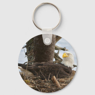 Nesting Bald Eagle Keychain