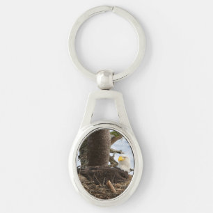 Nesting Bald Eagle Keychain