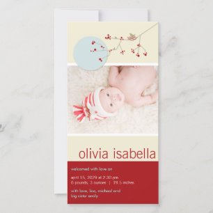 Nesting Bird & Family Baby Girl Birth Announcement