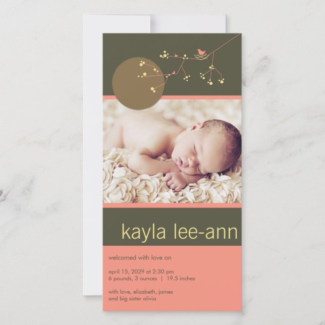 Nesting Bird & Family Baby Girl Birth Announcement (Front)