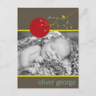 Nesting Bird & Family Baby Photo Announcement Postcard