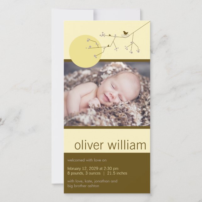 Nesting Bird Family Boy Or Girl Baby Photo Birth Announcement (Front)
