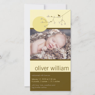 Nesting Bird Family Boy Or Girl Baby Photo Birth Announcement