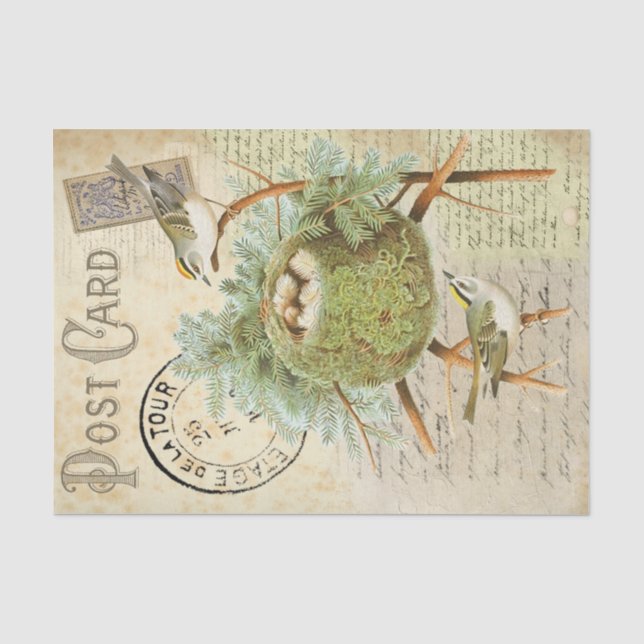 Nesting Bird Postcard Tissue Paper (Front)