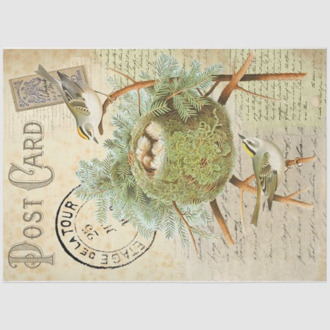 Nesting Bird Postcard Tissue Paper (Front)