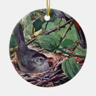 Nesting Grey Catbirds Ceramic Ornament