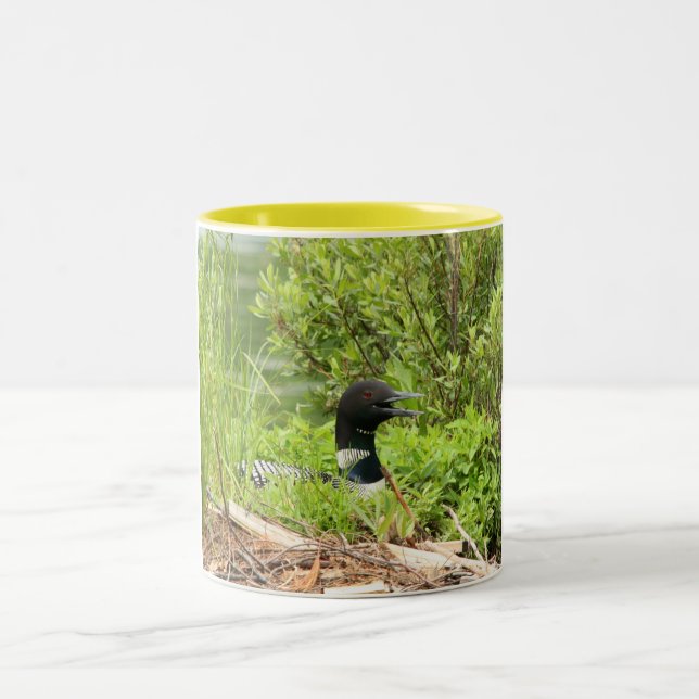 Nesting Loon Coffee Mug (Center)