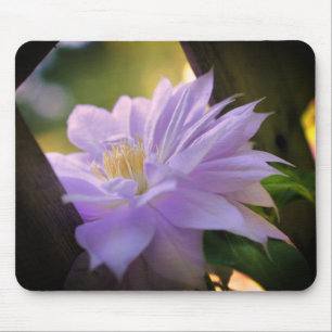 Nestled Clematis Flower Mouse Pad