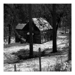 Nestled in the woods... poster