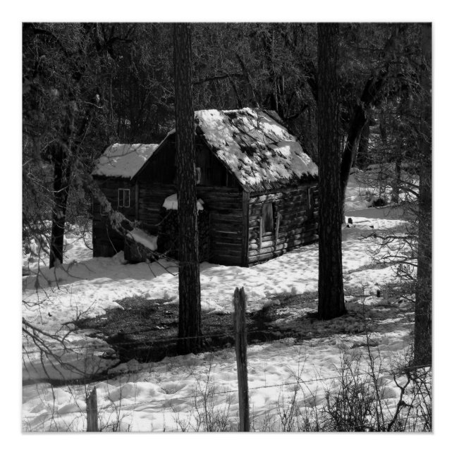 Nestled in the woods... poster (Front)