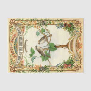 Nests and Eggs Birds of the United States Tissue Paper