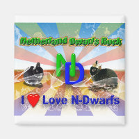 Netherland Dwarf Bunny