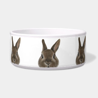 Netherland Dwarf rabbit Brown ceramic feeding