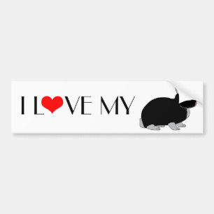 Netherland Dwarf Rabbit Bumper Sticker