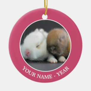 Netherland Dwarf Rabbits Ceramic Ornament