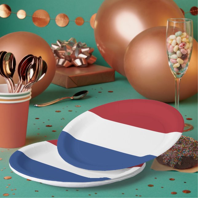 Netherland flag paper plate (Multi)