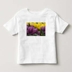 Netherlands aka Holland), Lisse. Keukenhof 10 Toddler T-shirt