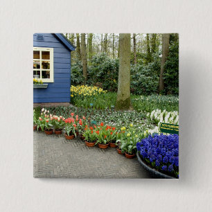 Netherlands aka Holland), Lisse. Keukenhof 11 2 Inch Square Button