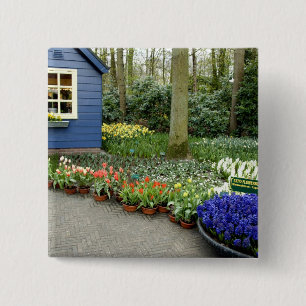 Netherlands aka Holland), Lisse. Keukenhof 11 2 Inch Square Button