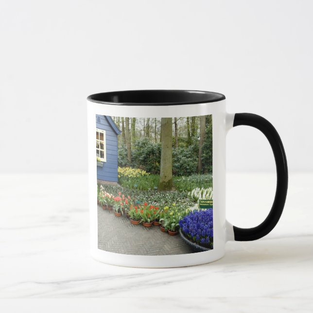 Netherlands aka Holland), Lisse. Keukenhof 11 Mug (Right)