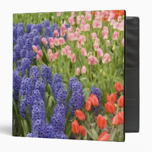 Netherlands aka Holland), Lisse. Keukenhof 2 Binder