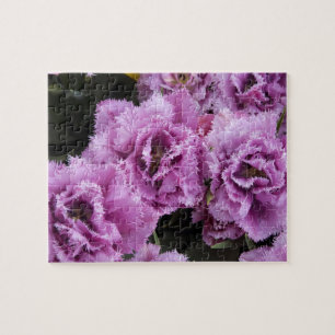 Netherlands (aka Holland), Lisse. Keukenhof 2 Jigsaw Puzzle