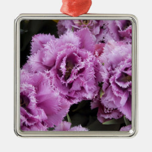 Netherlands (aka Holland), Lisse. Keukenhof 2 Metal Ornament