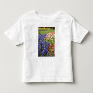 Netherlands aka Holland), Lisse. Keukenhof 2 Toddler T-shirt