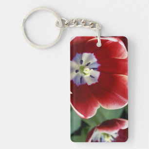 Netherlands (aka Holland), Lisse. Keukenhof 3 Keychain