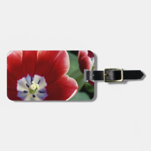 Netherlands (aka Holland), Lisse. Keukenhof 3 Luggage Tag