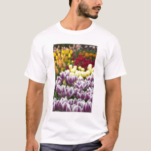 Netherlands aka Holland), Lisse. Keukenhof 3 T-Shirt
