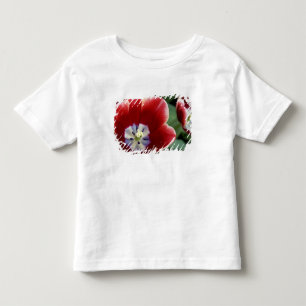 Netherlands (aka Holland), Lisse. Keukenhof 3 Toddler T-shirt