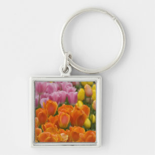 Netherlands aka Holland), Lisse. Keukenhof 4 Keychain