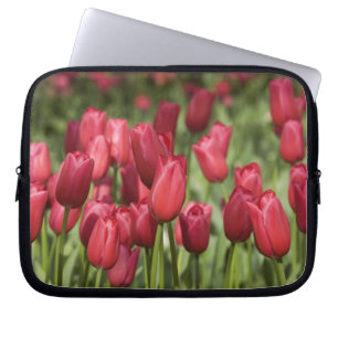 Netherlands (aka Holland), Lisse. Keukenhof 4 Laptop Sleeve