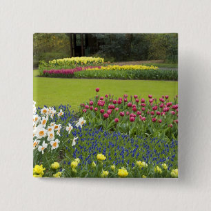 Netherlands aka Holland), Lisse. Keukenhof 5 2 Inch Square Button