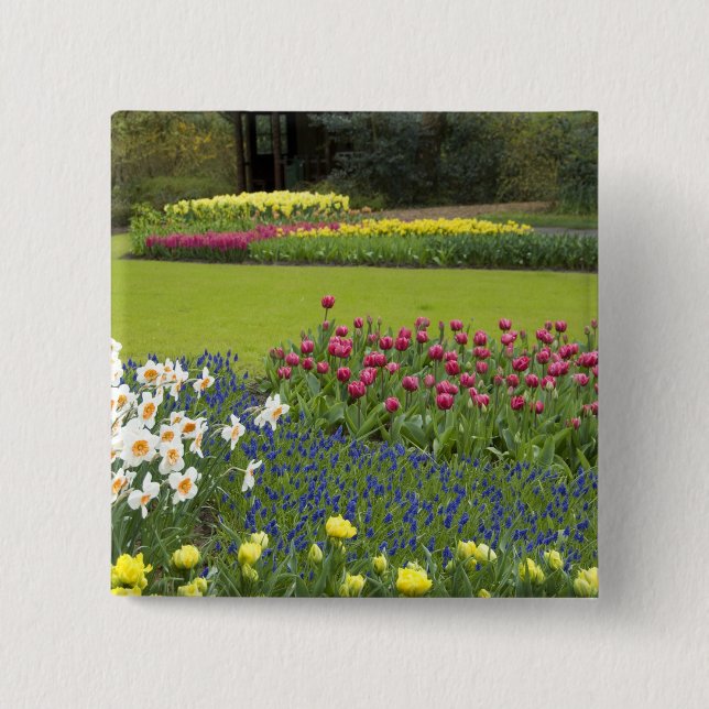 Netherlands aka Holland), Lisse. Keukenhof 5 2 Inch Square Button (Front)