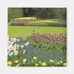 Netherlands aka Holland), Lisse. Keukenhof 5 Magnet