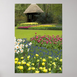 Netherlands aka Holland), Lisse. Keukenhof 5 Poster