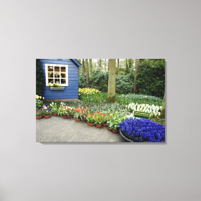 Netherlands aka Holland), Lisse. Keukenhof 6 Canvas Print (Front)