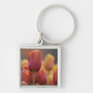 Netherlands aka Holland), Lisse. Keukenhof 6 Keychain