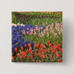 Netherlands aka Holland), Lisse. Keukenhof 8 2 Inch Square Button