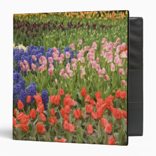 Netherlands aka Holland), Lisse. Keukenhof 8 Binder