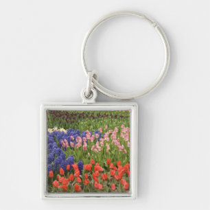 Netherlands aka Holland), Lisse. Keukenhof 8 Keychain