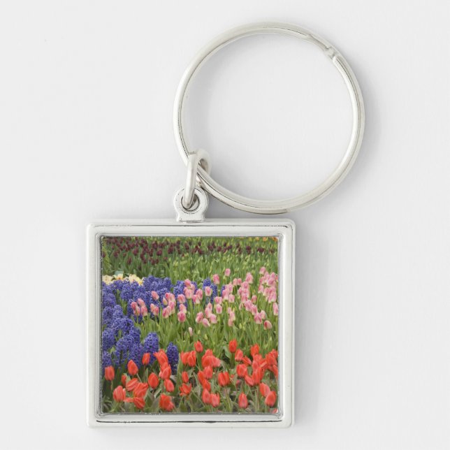 Netherlands aka Holland), Lisse. Keukenhof 8 Keychain (Front)